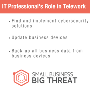 IT Professional's Roles in Telework